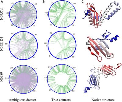 Simultaneous Assignment and Structure Determination of Proteins From Sparsely Labeled NMR Datasets